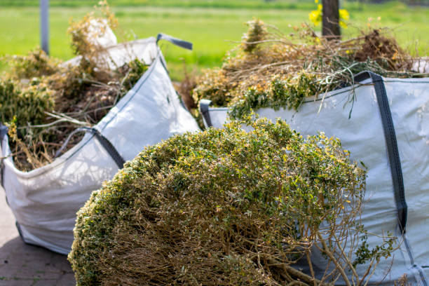 Trash Removal Near Me in Rainelle, WV